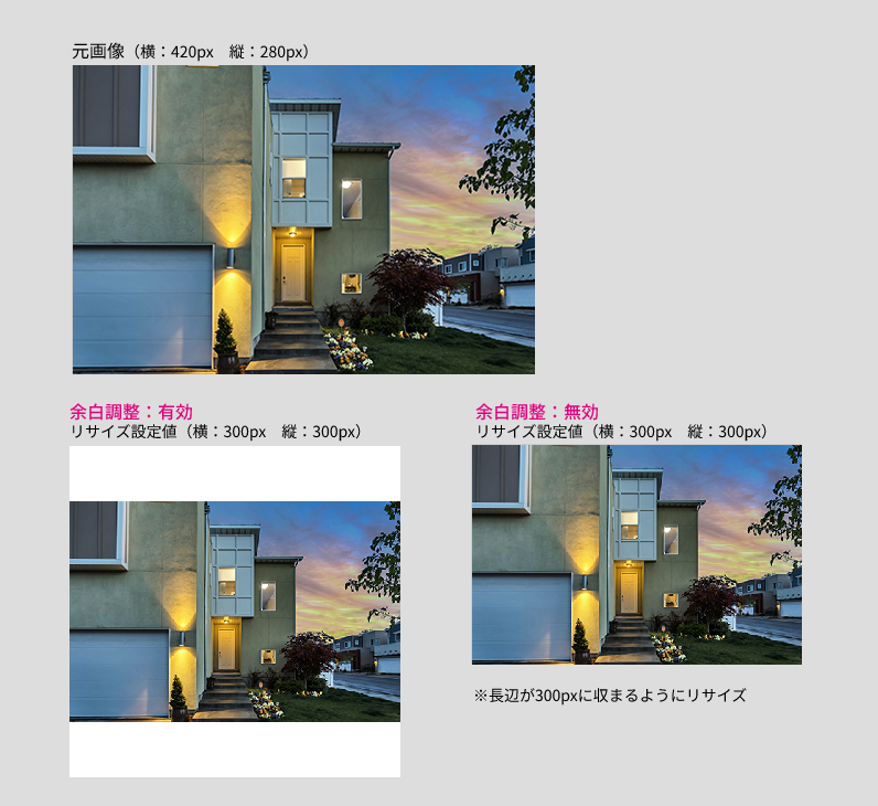 画像項目:リサイズ画像の例